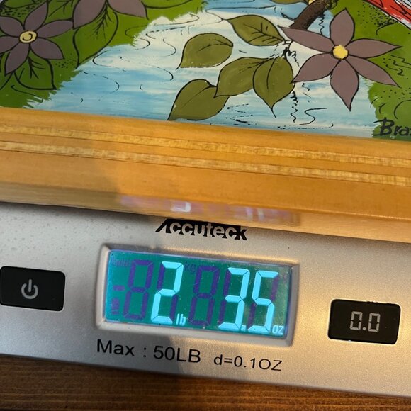 VTG Brazil Wood Glass Serving Tray Hand-Painted Parrot Scene Tropical Iridescent - Picture 11 of 11